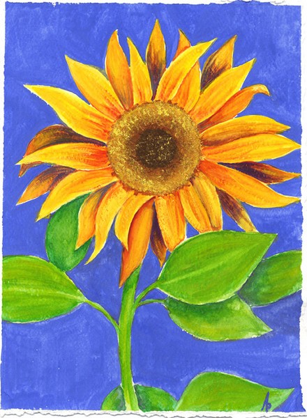 Flower of the Sun