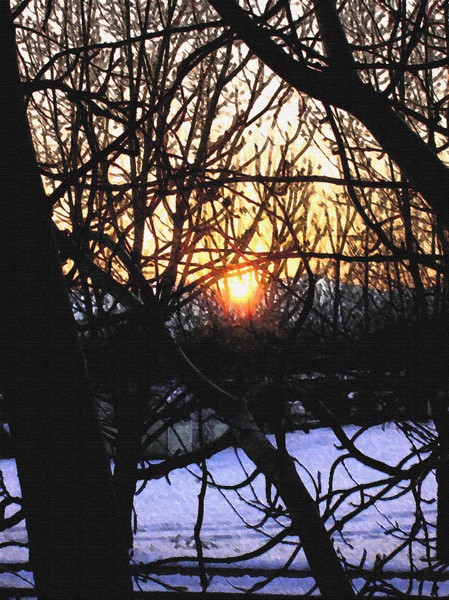 Winter Shadow Play