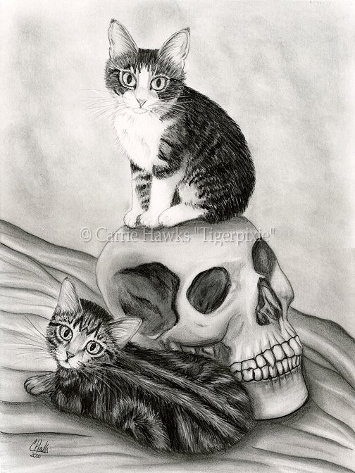 Witch's Kittens
