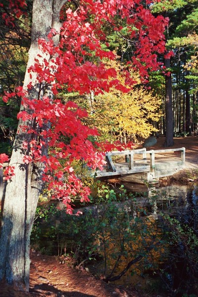 Crossing Into Autumn