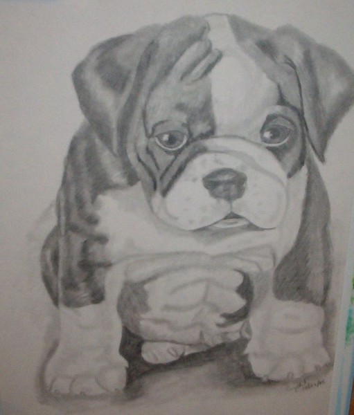 Puppy!!