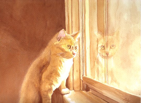 Yellow Cat