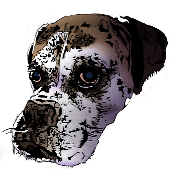 My Dog Mr Olds