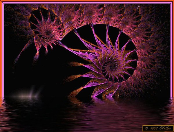 Fractal From The Sea