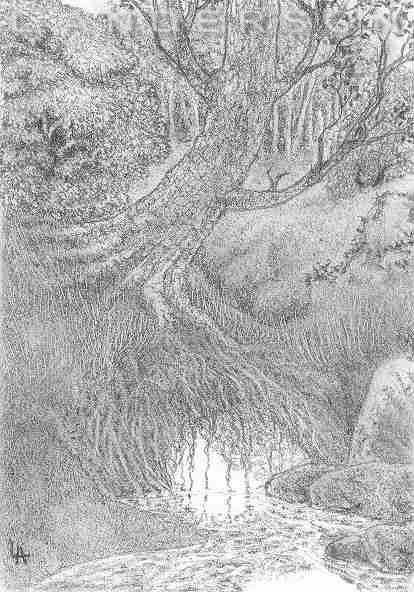 The Mossy Creek