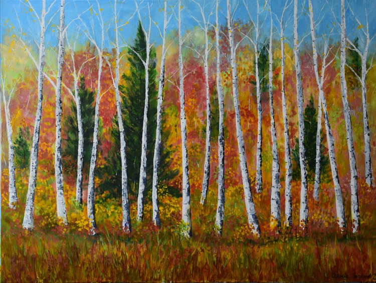 Birch Dance