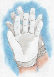 Gloves