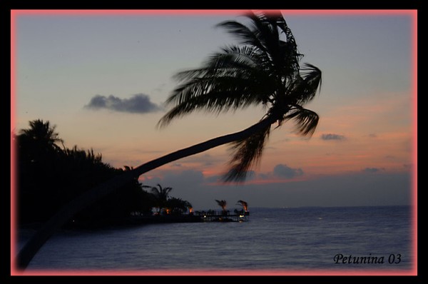 Sunset restaurant