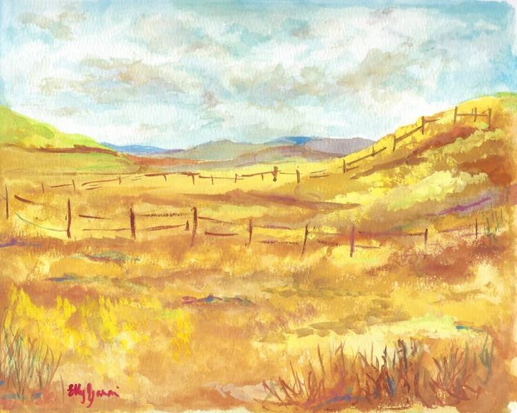 Paso Meadows