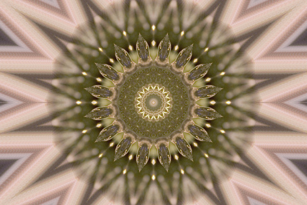 Experimental #2