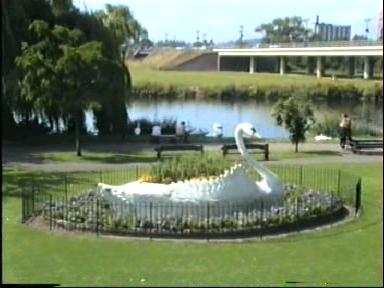 The 'Swan' at Stapenhill Gardens, Burton on Trent