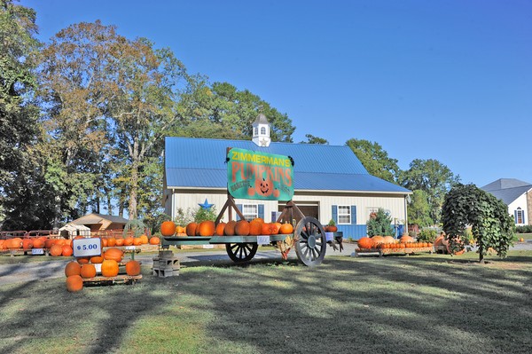 Pumpkin Farm