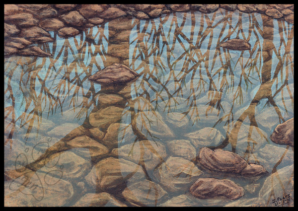 Reflections