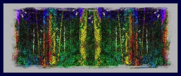 nearby forest
