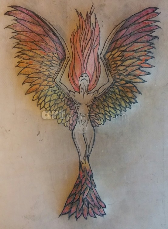 phoenix tattoo design