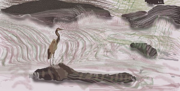 Crane Fishing