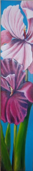 Two Iris