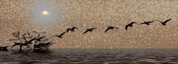 In Flight