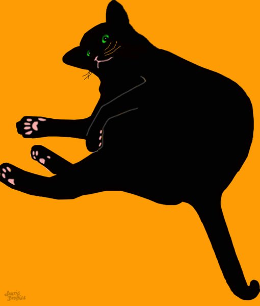 Cat 17