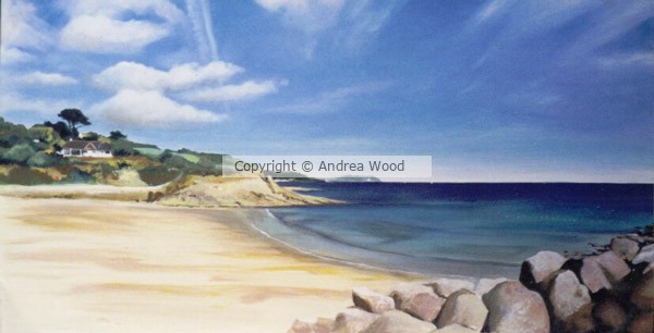 Swanpool beach, Falmouth.