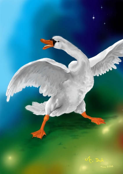 Cygne