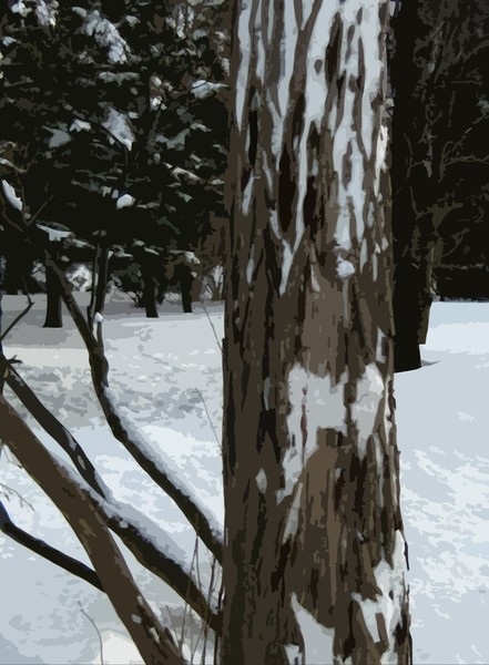 Winter Scenery (Six)
