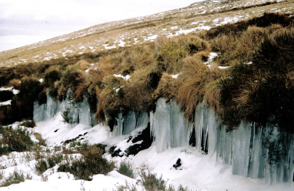 Icicles