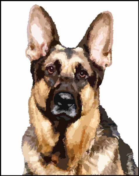 Rex