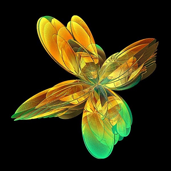 Flower - Sharp Dramatic
