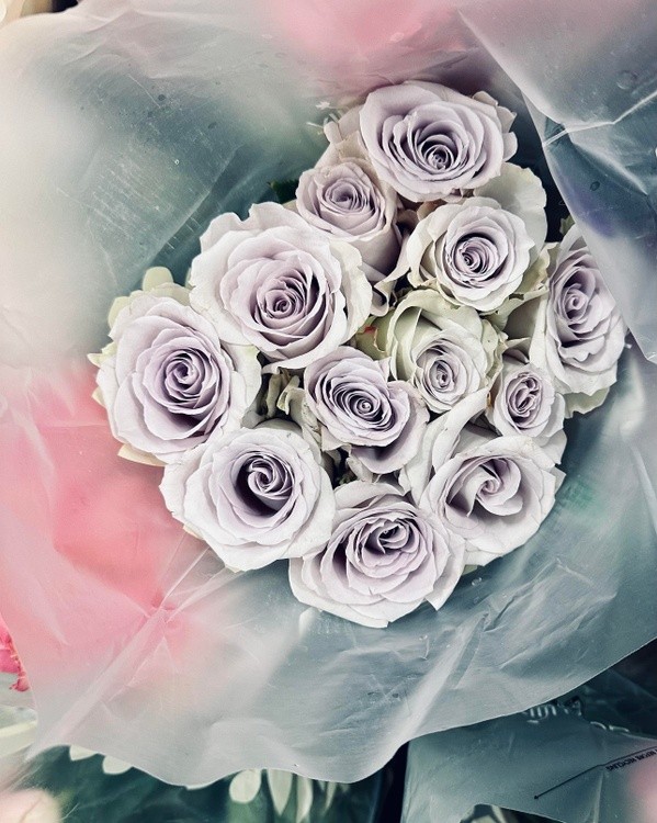 Purple Roses