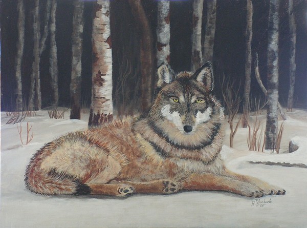 Wolf Nap