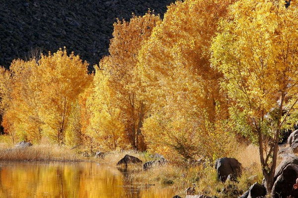 Pleasant Valley Lakeside