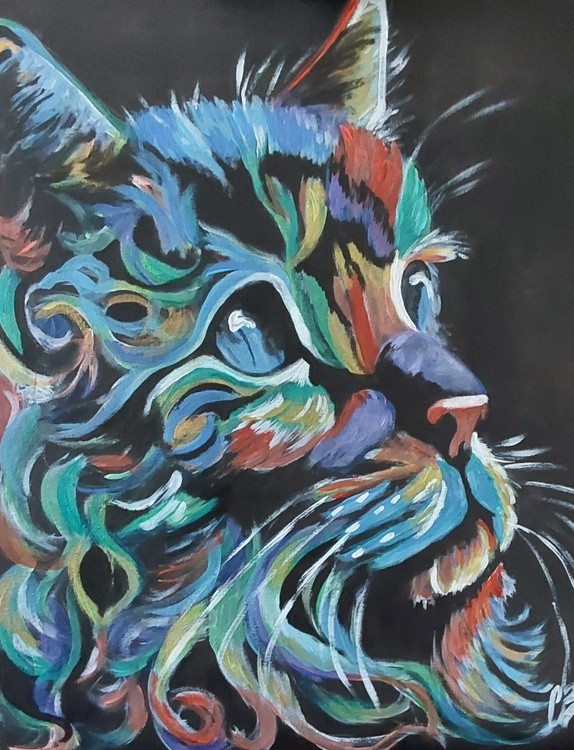 Cat in Colours