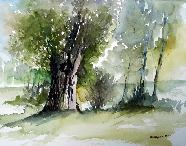 Trees in Zomergem (plein air)
