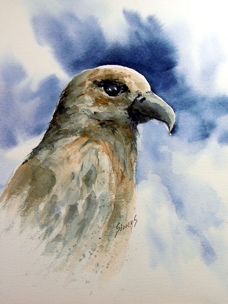 Fury