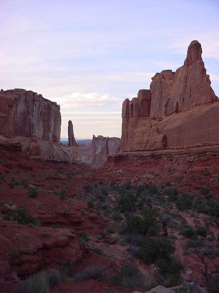 Mountain Bones