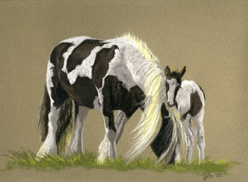 Gypsy Vanner and Foal