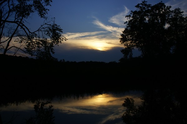 Seldon's Creek