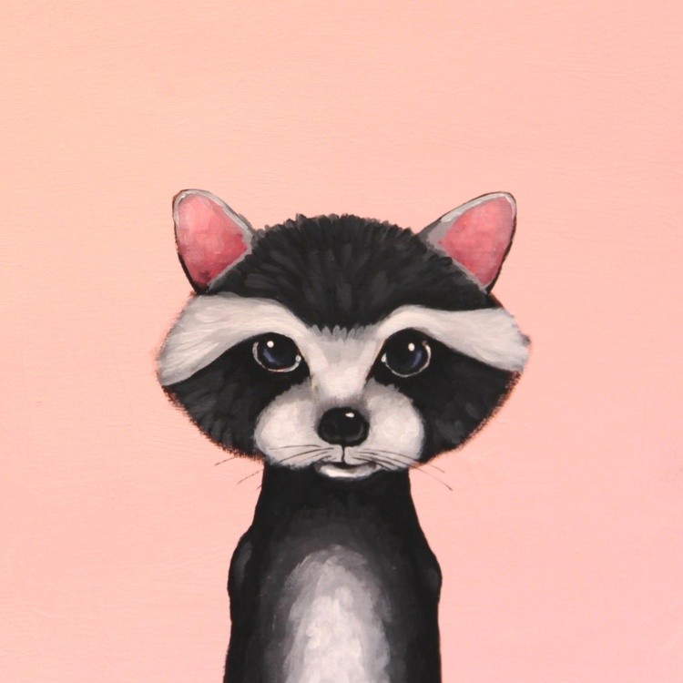 Baby Raccoon