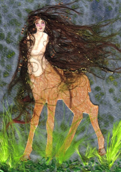 The Fawn