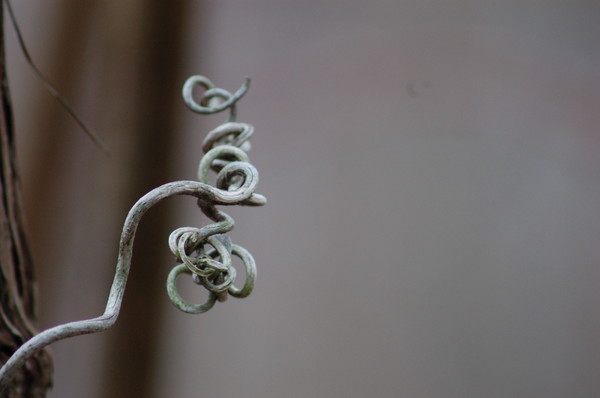 Twisted