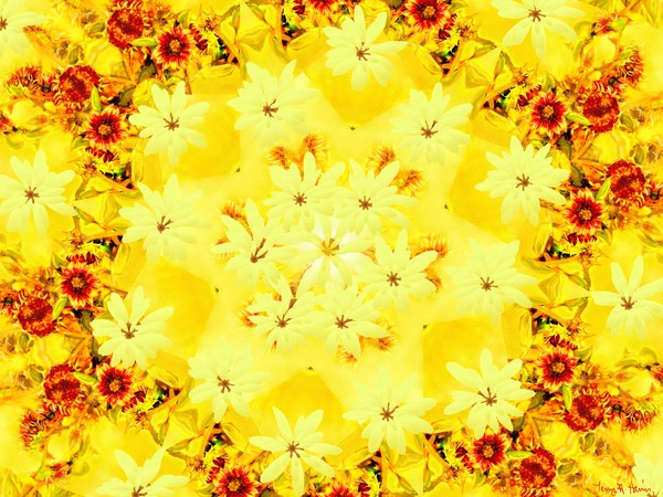 Terry's Sunflowers Kalidiscope Design