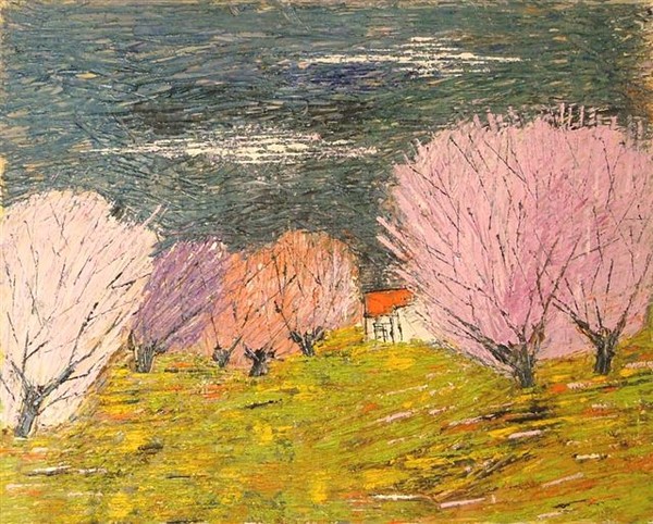 winter blossom in the moshav