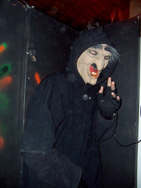 Halloween Witch