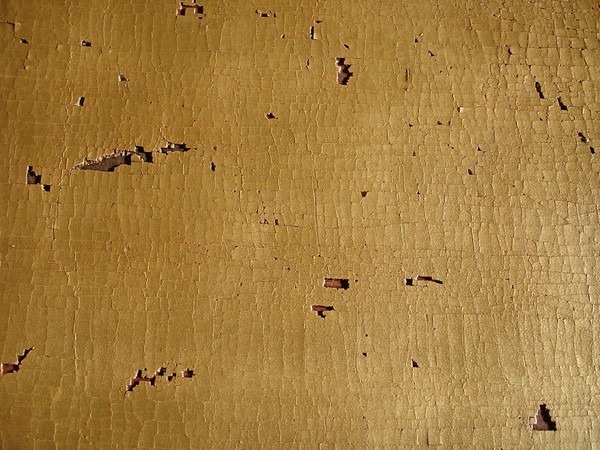 DSC02709