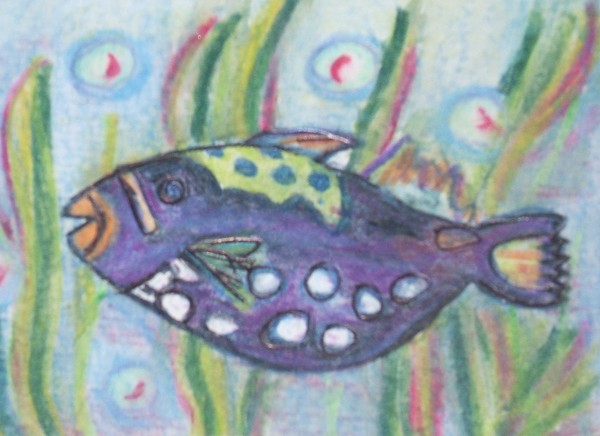 Triggerfish by P Miller