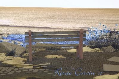 Park Bench For Three