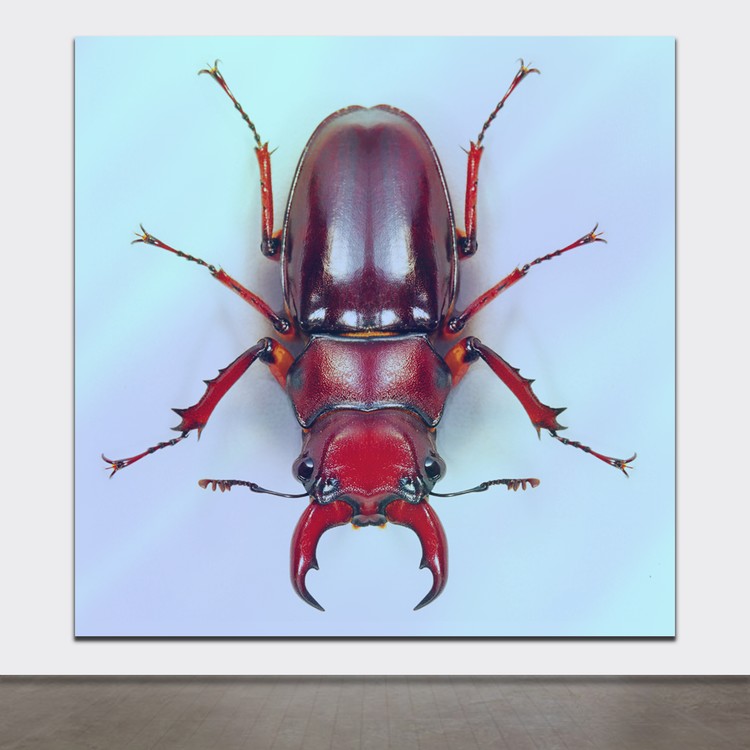 Re: BRITISH ARTIST: ANDREW CAMPBELL: ART STUDIO PROTOTYPES: NETSCAPES: #32