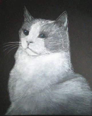 Cat 22