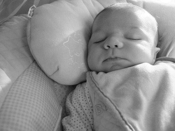 Slumber